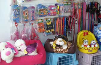 Pet Shop Primavera - Foto 1